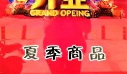 莱茵河夜宴爆料视频,独家视频曝光宴会盛况与幕后故事