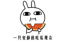 抖音吃瓜的有哪些网红,揭秘热门网红背后的故事