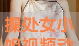 处女动漫视频在线观看,独家揭秘，热门视频在线观看指南