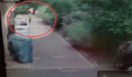青岛女子爆料视频大全集,揭秘背后真相与争议