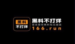 爆料不打烊视频网站,揭秘热门视频网站背后的秘密与魅力