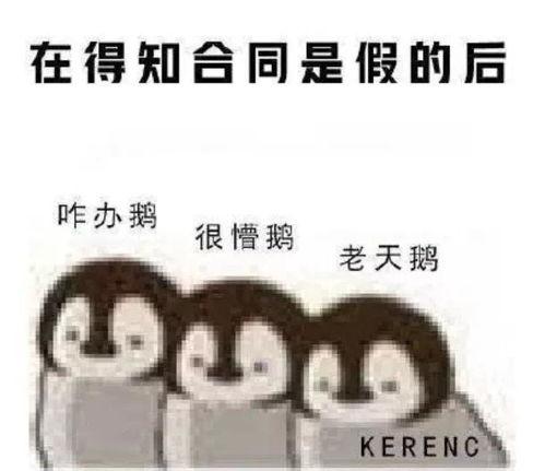 娱乐吃瓜酱广告文案图片,一勺鲜香，尽享娱乐圈风云变幻