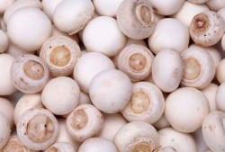 17c吃瓜蘑菇视频爆料,揭秘娱乐圈惊人内幕