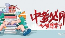 枫丹最新爆料信息视频,揭秘神秘视频背后的惊人真相