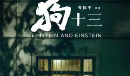 十三 在线观看,在线观看，揭秘神秘事件的背后真相