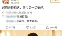 娱乐圈长篇吃瓜小说,揭秘明星背后的惊天秘密