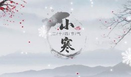 小寒最新爆料视频下载免费,精彩瞬间免费下载