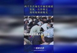 缅北诈骗犯爆料视频最新,最新爆料视频曝光惊人真相