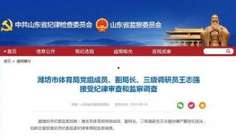 潍坊企业爆料事件最新进展,最新进展揭示真相与进展