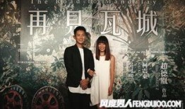 再见瓦城在线观看,一场跨越国界的情感之旅