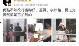 爆料优酷选秀视频在线观看,在线观看热潮背后的故事