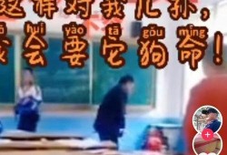 热搜爆料打架视频播放大全,惊心动魄的瞬间回顾