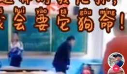 热搜爆料打架视频播放大全,惊心动魄的瞬间回顾