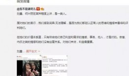 刘鑫最近爆料了吗视频在线观看,揭秘背后惊人真相
