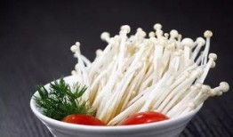 爆料金针菇吃货视频大全,揭秘吃货眼中的金针菇视频大全