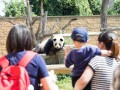 网红爆料动物园视频播放,动物园真实画面引发热议，网友直呼触目惊心