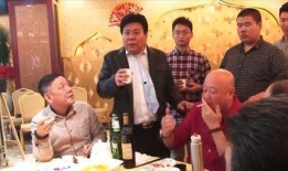 刘春山爆料表演视频播放,表演视频幕后揭秘