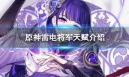 雷电将军最初爆料视频,神秘角色亮相，游戏世界再掀波澜