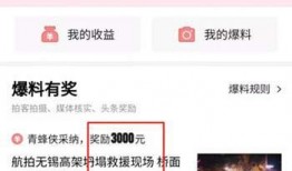 今日头条车主爆料,揭秘汽车行业惊人内幕！