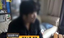 武汉爆料者被抓视频曝光,视频曝光引发社会关注