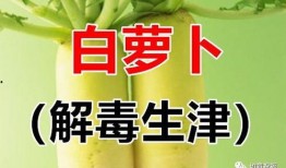 吃瓜青年免费看文教程,吃瓜青年专属看文教程
