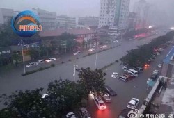 新乡记者爆料事件视频最新