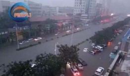 新乡记者爆料事件视频最新