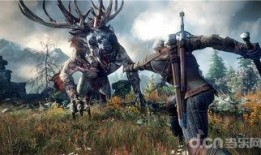 迷你巫师爆料视频大全集,揭秘魔法世界的秘密与奇迹