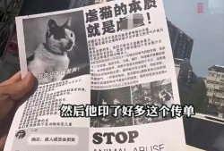 杰克辣条爆料视频在线观看,揭秘幕后真相，带你走进网络红人世界