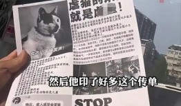 杰克辣条爆料视频在线观看,揭秘幕后真相，带你走进网络红人世界