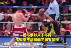 拳王梅威瑟爆料视频,揭秘幕后真相与惊人内幕