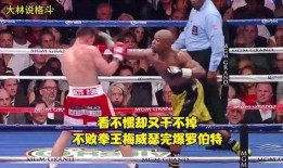 拳王梅威瑟爆料视频,揭秘幕后真相与惊人内幕