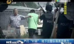 武汉爆料者被抓视频曝光,视频曝光引发社会关注