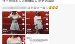爆料娱乐圈的书叫什么,揭秘幕后真相
