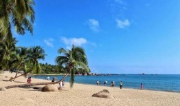 三亚最新旅游网红爆料事件,揭秘网红打卡地背后的真相