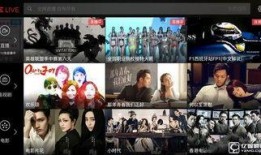 乐中乐视频在线观看,在线观看，畅享欢乐时光