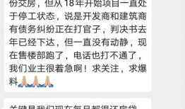 正定最新爆料,揭秘最新爆料背后的惊人真相