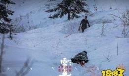 雪暴抢先版在线观看,惊心动魄的冰雪世界，揭秘神秘雪地迷局