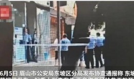 爆料天津小伙被抓视频,警方雷霆行动彰显正义