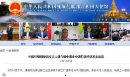 新闻爆料缅甸视频下载安装,揭秘新闻爆料背后的操作手法