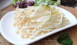 爆料金针菇吃货视频大全,揭秘吃货眼中的金针菇视频大全