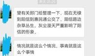 阳信最新爆料视频大全,揭秘事件真相，带你直击现场