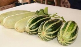吃瓜网红免费,免费福利背后的真相