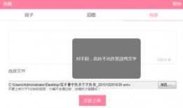 视频投稿爆料什么意思啊