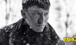 雪暴抢先版在线观看,惊心动魄的冰雪世界，揭秘神秘雪地迷局