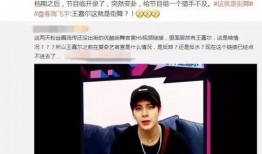 王嘉尔视频爆料大全最新,揭秘明星幕后生活点滴