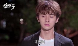 狼王子台剧04在线观看,浪漫邂逅，热血青春的奇幻之旅