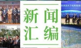 德清都市爆料新闻视频,最新视频揭秘事件真相