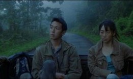 再见瓦城在线观看,一场跨越国界的情感之旅