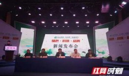 汉寿县新闻爆料电话,倾听民声，守护平安的桥梁